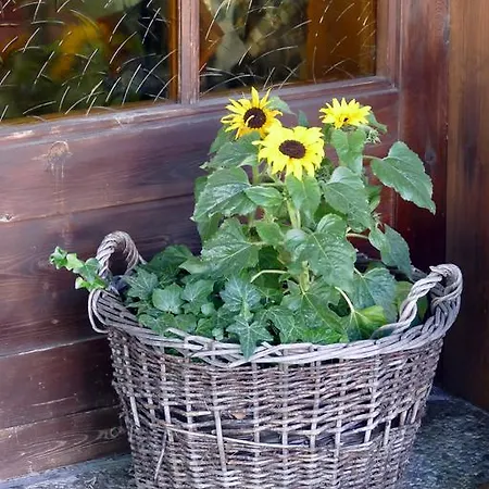 Brunnerhof 3*